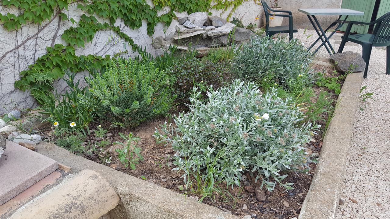 Aux Oliviers Ξενοδοχείο Homps  Εξωτερικό φωτογραφία